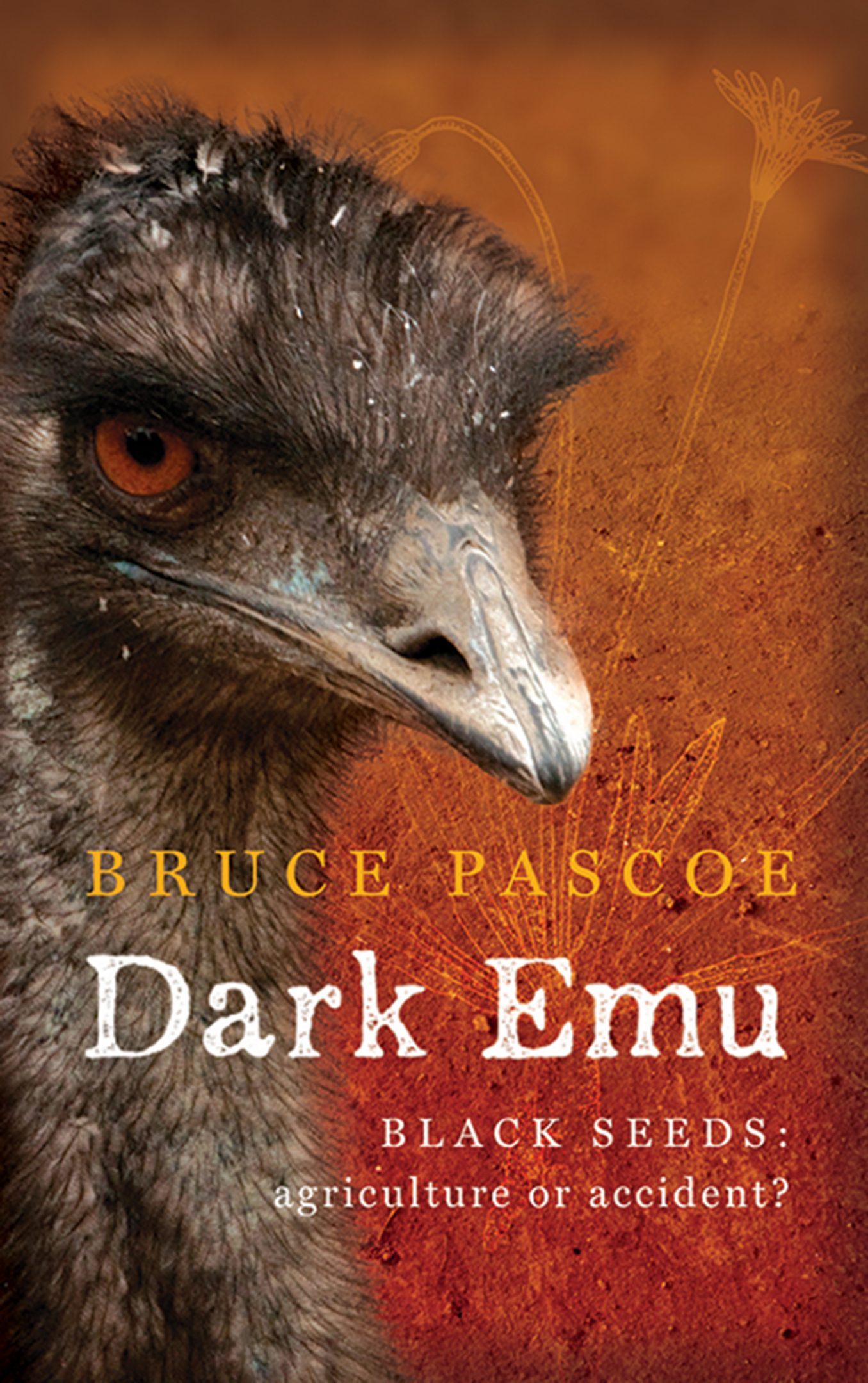 Dark emu - black seeds: agriculture or accident?